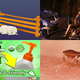 Illustration for article titled Sleep Science, DIY Submarines, and Infectious Kissing Bugs: Best Gizmodo Stories of the Week